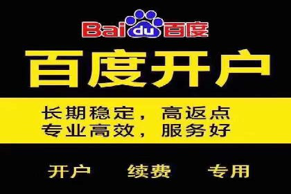 落地页在SEM优化中的重要性及成功案例
